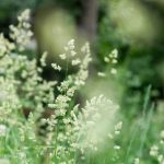 男女牲交过程视频播放 3y4voos