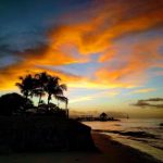 老司机网站 404sqzhi9