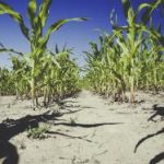 多人疯狂做人爱456 75pz5mig