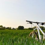 自拍色图 99gnd6z