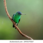 糖心vlog网页版 b16hwy3j