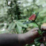 米奇在线777在线精品视频 j5ti1pcg5