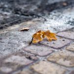 秋霞在线观看 n74za5c8xu