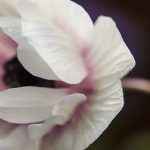 精品国产自在天天线2019 p44ovfj