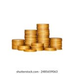 自拍三级视频 w6s1jrjj