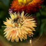 自拍视频国产三级 yi3jki2wf6